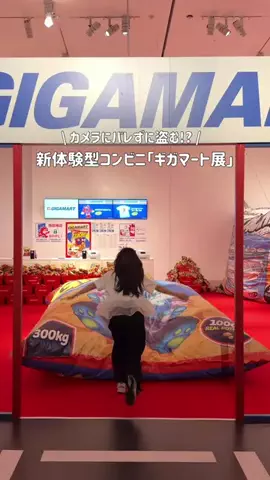 MIZUKI | 東京おでかけスポットのTikTok投稿