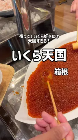 のん旅🌸宿|ホテルのTikTok投稿