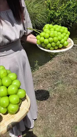 わら旅夫婦のTikTok投稿
