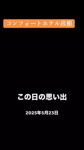 Skydaruma(ダルちゃん)のTikTok投稿