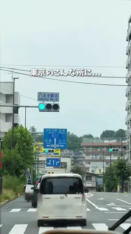 ひだまり｜東京発おでかけカップル☀️のTikTok投稿