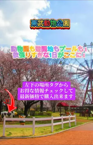 Skydaruma(ダルちゃん)のTikTok投稿