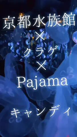 PajamaAI(パジャマアイ)  #SongWriterのTikTok投稿
