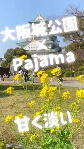 PajamaAI(パジャマアイ)  #SongWriterのTikTok投稿