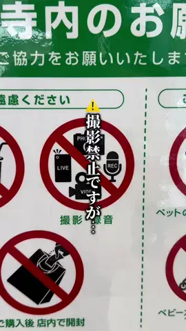 ここっと兵庫 |兵庫おでかけ・穴場グルメのTikTok投稿