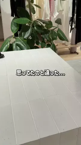 RukaのTikTok投稿