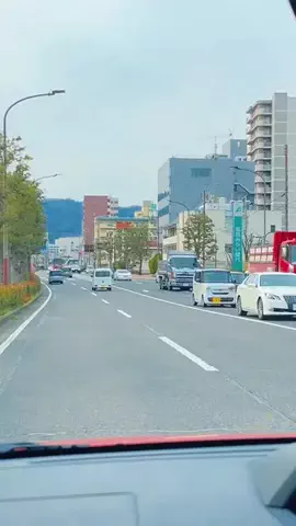 滋賀グルメ／SHIGA SELECTのTikTok投稿