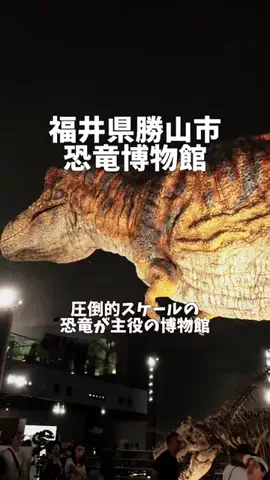 ポロ_身近なお出かけスポット紹介のTikTok投稿