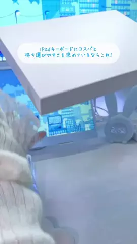 水瀬なの🐻‍❄️🩵/Mizuse NanoのTikTok投稿