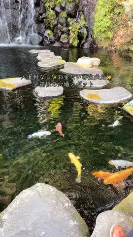 JP_travel （日本の絶景&ホテル&グルメ紹介）のTikTok投稿