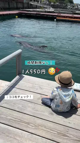Kママ⊹関西おでかけ✈︎子どもと探検⊹のTikTok投稿
