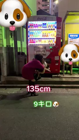 135cmの桜🌸👗のTikTok投稿