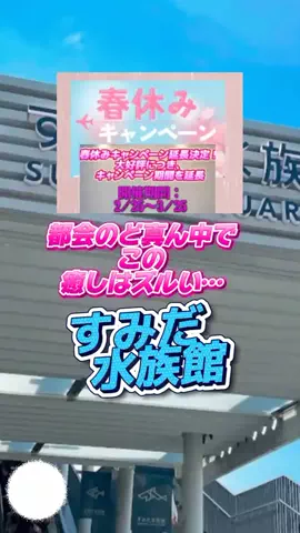 👑マルプー Binta｜ホテル旅🐻‍ 旅とご褒美🛍️のTikTok投稿