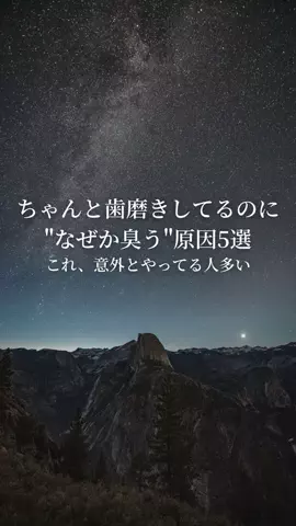 きなこもちのTikTok投稿