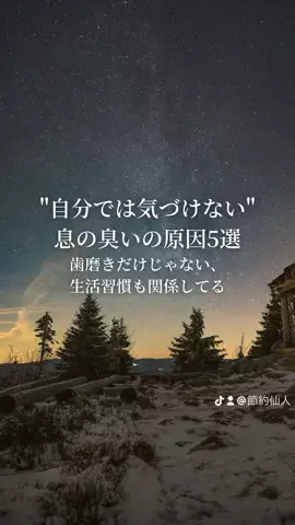 きなこもちのTikTok投稿