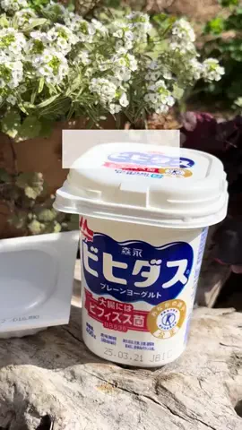 きのこの庭のTikTok投稿