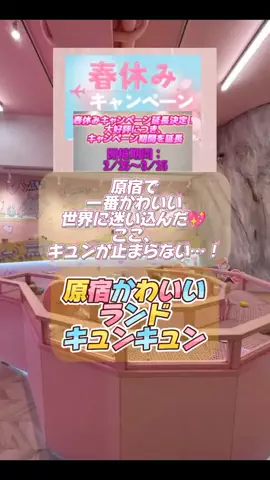 👑マルプー Binta｜ホテル旅🐻‍ 旅とご褒美🛍️のTikTok投稿