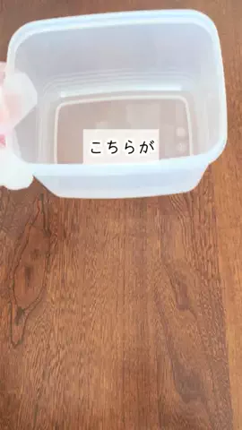 きのこの庭のTikTok投稿
