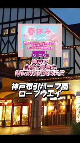 👑マルプー Binta｜ホテル旅🐻‍ 旅とご褒美🛍️のTikTok投稿