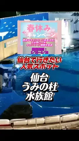 👑マルプー Binta｜ホテル旅🐻‍ 旅とご褒美🛍️のTikTok投稿