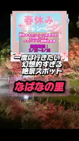 👑マルプー Binta｜ホテル旅🐻‍ 旅とご褒美🛍️のTikTok投稿