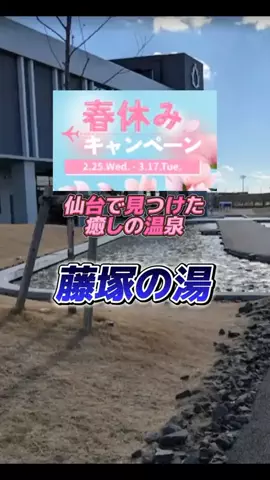 👑マルプー Binta｜ホテル旅🐻‍ 旅とご褒美🛍️のTikTok投稿