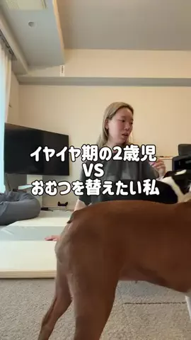 タナカガのTikTok投稿