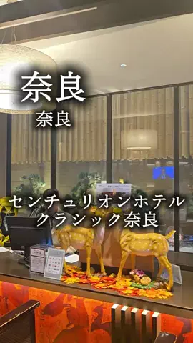 アルコールのひとのTikTok投稿