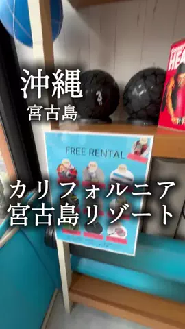 アルコールのひとのTikTok投稿