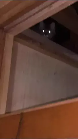 鰻丼マンのTikTok投稿