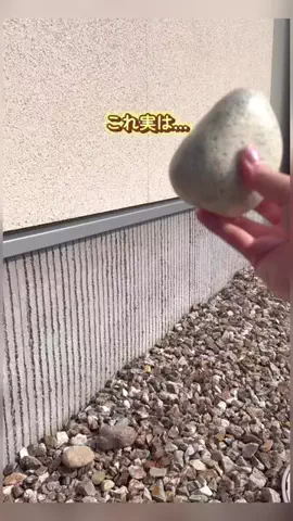 user4584523913709のTikTok投稿