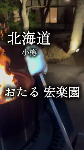 アルコールのひとのTikTok投稿