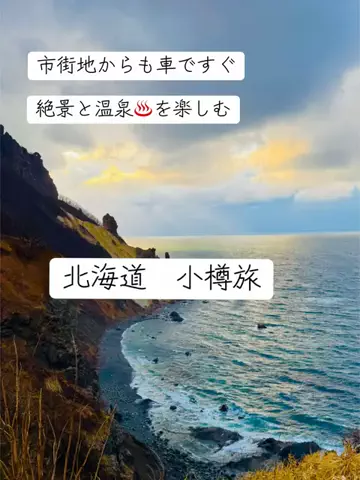 アルコールのひとのTikTok投稿