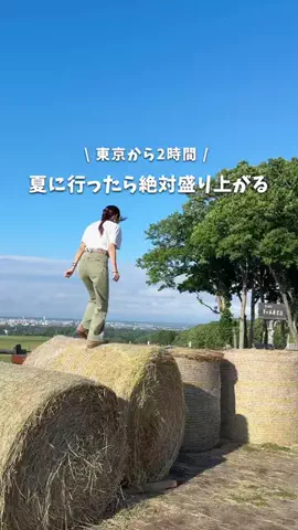 ゆこたび｜東京発▶︎90分で行けるデートプランのTikTok投稿