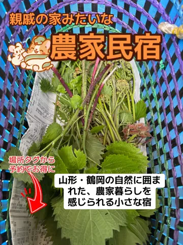 おとけしきのTikTok投稿