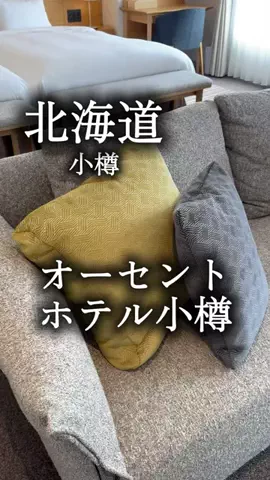 アルコールのひとのTikTok投稿