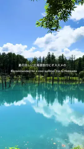 jennifer_eyesのTikTok投稿
