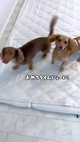 kuku.yoyo_boyのTikTok投稿