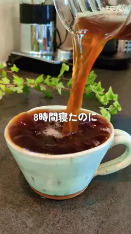 しほ┃ごきげん乾杯レシピのTikTok投稿