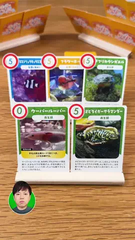 ボードゲーム倶楽部のTikTok投稿