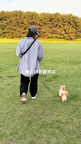 ぜんさく兄弟のTikTok投稿