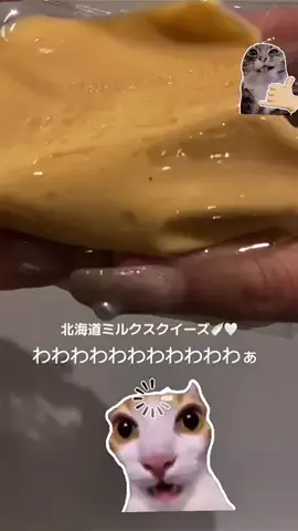 オムロンさん仕事頑張りますのTikTok投稿