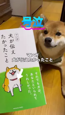 げっしるい🍈のTikTok投稿