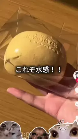 オムロンさん仕事頑張りますのTikTok投稿