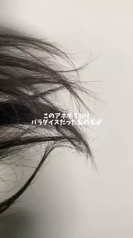 暮らし改善ラボ☘️のTikTok投稿