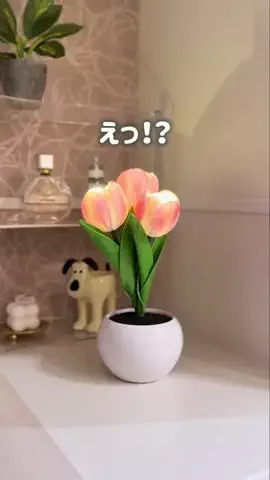 さき/骨格ウェーブのTikTok投稿