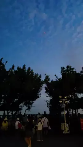 𝕋ℕ𝔹のTikTok投稿