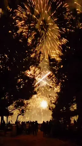 𝕋ℕ𝔹のTikTok投稿