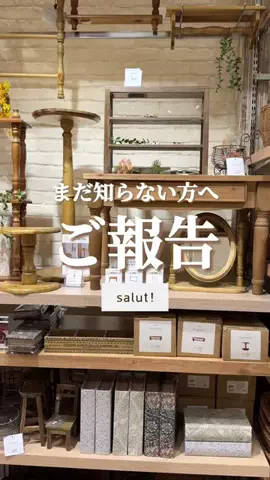 はるの𓊆 好きを見逃さない新作雑貨速報 𓊇のTikTok投稿