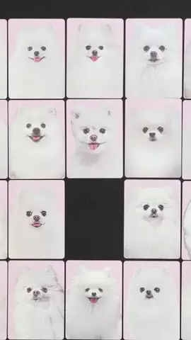 ボードゲーム倶楽部のTikTok投稿